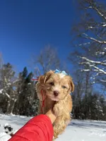 processed/e2226fea-284e-4cd2-965f-261834b3c2e8/listing/90361917-7569-4643-af48-088ee2665dcd/7dd7e5a0-d393-4af9-ae7b-8175c784148d