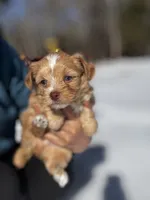 processed/e2226fea-284e-4cd2-965f-261834b3c2e8/listing/90361917-7569-4643-af48-088ee2665dcd/ea37d8b4-e592-4df0-8888-f4d0c5816644