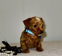 processed/e2226fea-284e-4cd2-965f-261834b3c2e8/listing/cdda06f1-50d1-4eb8-9b47-5f64ce984742/1fa249d6-9fb9-4630-a7ae-ffbf09bc95da