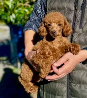 processed/e2226fea-284e-4cd2-965f-261834b3c2e8/listing/cdda06f1-50d1-4eb8-9b47-5f64ce984742/326ce013-d978-429b-b85c-e584c03320df