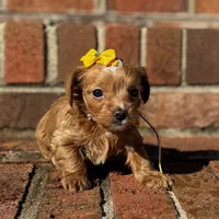 processed/e2226fea-284e-4cd2-965f-261834b3c2e8/listing/cdda06f1-50d1-4eb8-9b47-5f64ce984742/4b7b60f1-b70d-4e92-9552-4e53991dae9b