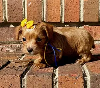 processed/e2226fea-284e-4cd2-965f-261834b3c2e8/listing/cdda06f1-50d1-4eb8-9b47-5f64ce984742/8def53ce-a91f-48e2-b3ce-d9af5858a36d