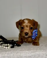 processed/e2226fea-284e-4cd2-965f-261834b3c2e8/listing/cdda06f1-50d1-4eb8-9b47-5f64ce984742/ed244571-4b53-4cfa-8fd2-c0fc4dcc0787