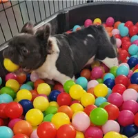 processed/e22f458a-95fc-451e-9acc-ca5d6b9ba9a6/facility/17f79f8a-5ea8-4868-9471-8c665dacf972