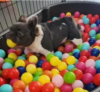 processed/e22f458a-95fc-451e-9acc-ca5d6b9ba9a6/facility/17f79f8a-5ea8-4868-9471-8c665dacf972