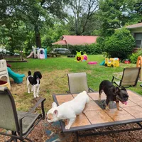 processed/e22f458a-95fc-451e-9acc-ca5d6b9ba9a6/facility/1aae93eb-78a5-4488-9bfc-dadeac30c7f6