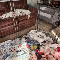 processed/e22f458a-95fc-451e-9acc-ca5d6b9ba9a6/facility/5a9378ff-47cd-48e0-be96-09c3715da569