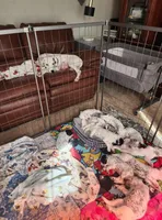 processed/e22f458a-95fc-451e-9acc-ca5d6b9ba9a6/facility/5a9378ff-47cd-48e0-be96-09c3715da569