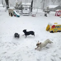 processed/e22f458a-95fc-451e-9acc-ca5d6b9ba9a6/facility/68d8f603-e0d1-4559-bdb6-04a7155f5f0d