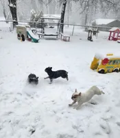 processed/e22f458a-95fc-451e-9acc-ca5d6b9ba9a6/facility/68d8f603-e0d1-4559-bdb6-04a7155f5f0d