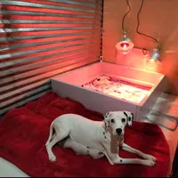 processed/e22f458a-95fc-451e-9acc-ca5d6b9ba9a6/facility/6988004e-489b-47f3-b91d-cb6591ea1c70