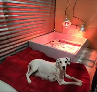 processed/e22f458a-95fc-451e-9acc-ca5d6b9ba9a6/facility/6988004e-489b-47f3-b91d-cb6591ea1c70