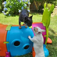 processed/e22f458a-95fc-451e-9acc-ca5d6b9ba9a6/facility/6ccf8162-1bb8-431c-af22-4389c285cafd