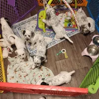 processed/e22f458a-95fc-451e-9acc-ca5d6b9ba9a6/facility/8884debc-9e79-4470-b330-b62b5feabc74