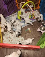 processed/e22f458a-95fc-451e-9acc-ca5d6b9ba9a6/facility/8884debc-9e79-4470-b330-b62b5feabc74