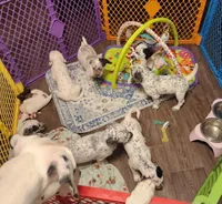 processed/e22f458a-95fc-451e-9acc-ca5d6b9ba9a6/facility/a11799b3-ade9-4c30-8abc-b44d58b7a591