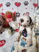 processed/e22f458a-95fc-451e-9acc-ca5d6b9ba9a6/listing/11592187-95ba-4161-bb69-872e77cbee31/1e8ba299-921b-4907-a8b6-448206c64ded