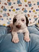 processed/e22f458a-95fc-451e-9acc-ca5d6b9ba9a6/listing/11592187-95ba-4161-bb69-872e77cbee31/566408d0-f1b0-476d-80c8-9de2219dd3aa