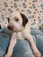 processed/e22f458a-95fc-451e-9acc-ca5d6b9ba9a6/listing/11592187-95ba-4161-bb69-872e77cbee31/8673d7f2-88fe-43d7-9724-22a3b2cd0201