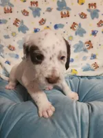 processed/e22f458a-95fc-451e-9acc-ca5d6b9ba9a6/listing/11592187-95ba-4161-bb69-872e77cbee31/a4e65840-7a3c-435f-a866-d83194f13cd8