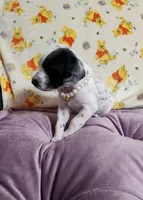 processed/e22f458a-95fc-451e-9acc-ca5d6b9ba9a6/listing/283fc5f1-daec-4e14-9473-feefd8ea5612/0f07d9d5-ddfa-4b39-bd63-523f1f9a4bfe