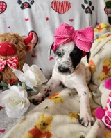 processed/e22f458a-95fc-451e-9acc-ca5d6b9ba9a6/listing/283fc5f1-daec-4e14-9473-feefd8ea5612/851fe0da-c934-4228-adb9-64a2f6c30333