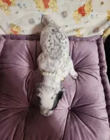 processed/e22f458a-95fc-451e-9acc-ca5d6b9ba9a6/listing/283fc5f1-daec-4e14-9473-feefd8ea5612/8ad79eae-1ac4-4bec-bc7c-6fee3b6276de