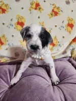 processed/e22f458a-95fc-451e-9acc-ca5d6b9ba9a6/listing/283fc5f1-daec-4e14-9473-feefd8ea5612/d1276b92-a50a-495d-b0ed-27a6fdf04aee