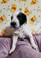 processed/e22f458a-95fc-451e-9acc-ca5d6b9ba9a6/listing/283fc5f1-daec-4e14-9473-feefd8ea5612/f025bfe1-cc26-4e2f-a0b7-2ba4901eb42a