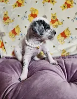 processed/e22f458a-95fc-451e-9acc-ca5d6b9ba9a6/listing/283fc5f1-daec-4e14-9473-feefd8ea5612/fa199262-a262-4e03-91e5-d97cf9b05fa9