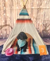 Puppy #3, a female Labradoodle for sale in Toccoa, GA – 2 of 6