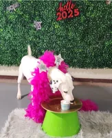 Sage Harley Rose, a female Dalmatian for sale in Toccoa, GA – 5 of 8
