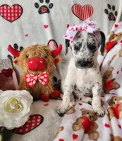 processed/e22f458a-95fc-451e-9acc-ca5d6b9ba9a6/listing/51307495-b36f-4c93-bdbd-9a47cf1d599c/43e34246-beba-4da8-884b-005a530abaf0