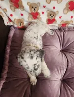 processed/e22f458a-95fc-451e-9acc-ca5d6b9ba9a6/listing/51307495-b36f-4c93-bdbd-9a47cf1d599c/b75b6d01-ac62-4c01-b4b8-cbd56b6adb92