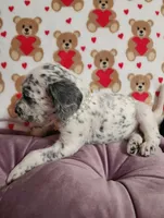 processed/e22f458a-95fc-451e-9acc-ca5d6b9ba9a6/listing/51307495-b36f-4c93-bdbd-9a47cf1d599c/b96e6fc3-ced7-4372-8b5e-11123891fa2e