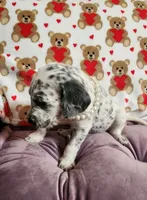 processed/e22f458a-95fc-451e-9acc-ca5d6b9ba9a6/listing/51307495-b36f-4c93-bdbd-9a47cf1d599c/d9ca5780-b74d-4648-9442-cad785d66746