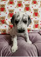 processed/e22f458a-95fc-451e-9acc-ca5d6b9ba9a6/listing/51307495-b36f-4c93-bdbd-9a47cf1d599c/e9f54b4d-40a0-4433-a548-01b8f2c07660