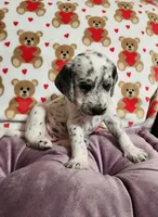 processed/e22f458a-95fc-451e-9acc-ca5d6b9ba9a6/listing/51307495-b36f-4c93-bdbd-9a47cf1d599c/ed0e1462-a524-47a8-a01f-9f1326ea15b8