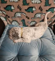 processed/e22f458a-95fc-451e-9acc-ca5d6b9ba9a6/listing/6dadad86-fc3c-4a72-ab93-96a68cfa3c74/54177d01-d528-4308-8c66-885cf1624953