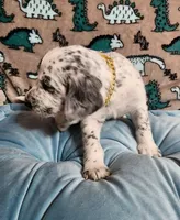 processed/e22f458a-95fc-451e-9acc-ca5d6b9ba9a6/listing/6dadad86-fc3c-4a72-ab93-96a68cfa3c74/648867b2-776c-4b20-be31-df36880f2974