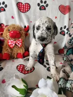 processed/e22f458a-95fc-451e-9acc-ca5d6b9ba9a6/listing/6dadad86-fc3c-4a72-ab93-96a68cfa3c74/927e1377-05f4-44a7-8cdd-6a014e921af4