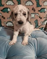 processed/e22f458a-95fc-451e-9acc-ca5d6b9ba9a6/listing/6dadad86-fc3c-4a72-ab93-96a68cfa3c74/ec1c96a5-be15-4914-8a81-76ba5c1b8325