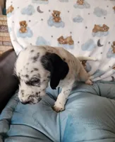 processed/e22f458a-95fc-451e-9acc-ca5d6b9ba9a6/listing/842872d1-7ad4-4afc-8014-1bd854808869/0c534b26-edbe-487e-8ed8-87b37df0a808