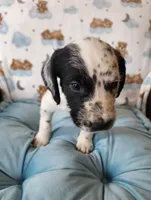 processed/e22f458a-95fc-451e-9acc-ca5d6b9ba9a6/listing/842872d1-7ad4-4afc-8014-1bd854808869/12f4d09c-9d77-4480-bc84-0f8dffa8f672