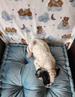 processed/e22f458a-95fc-451e-9acc-ca5d6b9ba9a6/listing/842872d1-7ad4-4afc-8014-1bd854808869/94fc04a0-e5a6-4db4-bae4-c6d4b73ee349