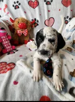 processed/e22f458a-95fc-451e-9acc-ca5d6b9ba9a6/listing/842872d1-7ad4-4afc-8014-1bd854808869/e4c42179-caa8-451c-a96b-8c03e76ad838