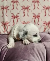 processed/e22f458a-95fc-451e-9acc-ca5d6b9ba9a6/listing/a1539b3e-c14e-42e9-82f3-0d6489dd4d9c/654ac56f-893e-470a-81fd-f723d792789c