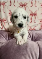 processed/e22f458a-95fc-451e-9acc-ca5d6b9ba9a6/listing/a1539b3e-c14e-42e9-82f3-0d6489dd4d9c/b08d07e4-824c-431b-be28-5fec44f5a45b