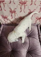 processed/e22f458a-95fc-451e-9acc-ca5d6b9ba9a6/listing/a1539b3e-c14e-42e9-82f3-0d6489dd4d9c/d0017901-13cf-4c07-9d6a-37dfa88bdb6a