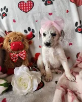 processed/e22f458a-95fc-451e-9acc-ca5d6b9ba9a6/listing/a1539b3e-c14e-42e9-82f3-0d6489dd4d9c/fbaddde6-7d8e-401b-af84-9b3c6b7eb11b